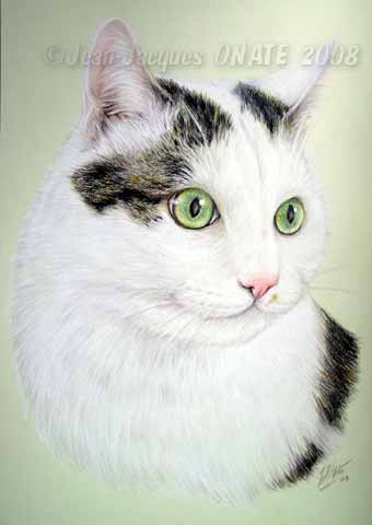 Waldo II portrait chat blanc 20 x 30 cm dessin aux crayons par Jean-Jacques Onate, portraitiste animalier